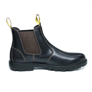 LS-01 Es Safety Boot